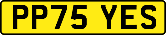 PP75YES
