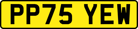 PP75YEW