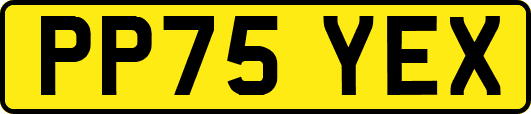 PP75YEX