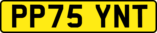 PP75YNT
