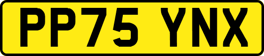 PP75YNX