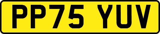 PP75YUV