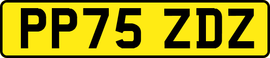 PP75ZDZ