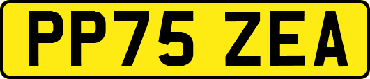 PP75ZEA