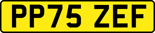 PP75ZEF