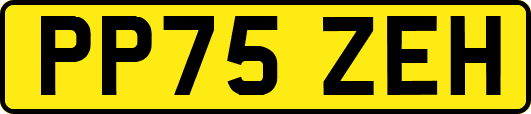 PP75ZEH