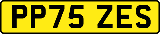 PP75ZES
