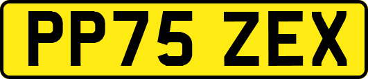 PP75ZEX