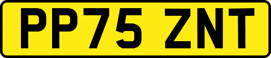 PP75ZNT
