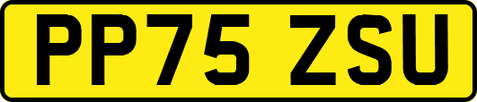 PP75ZSU