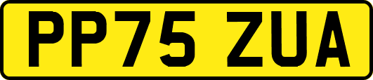 PP75ZUA