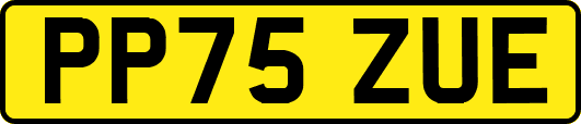 PP75ZUE