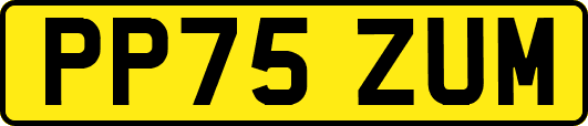 PP75ZUM