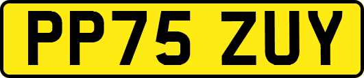 PP75ZUY