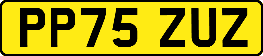 PP75ZUZ