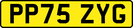 PP75ZYG