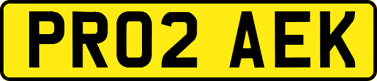 PR02AEK