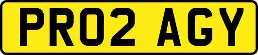 PR02AGY