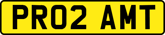 PR02AMT