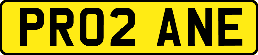PR02ANE
