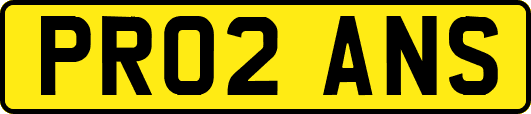 PR02ANS