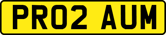 PR02AUM