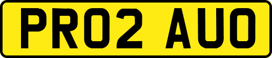 PR02AUO