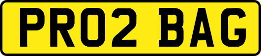 PR02BAG