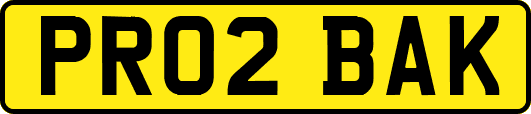 PR02BAK