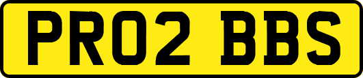 PR02BBS