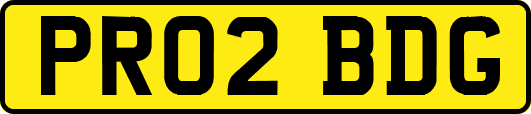 PR02BDG