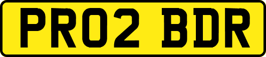 PR02BDR