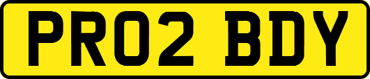 PR02BDY