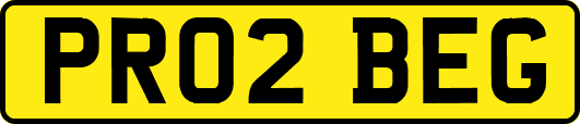 PR02BEG