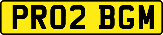 PR02BGM