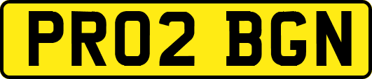 PR02BGN