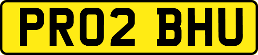 PR02BHU