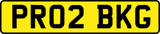 PR02BKG