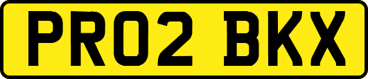 PR02BKX