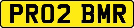 PR02BMR