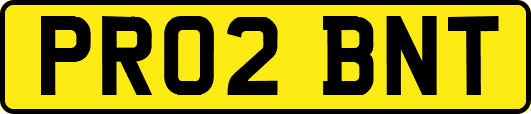 PR02BNT