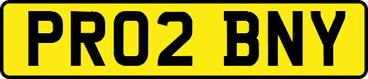 PR02BNY
