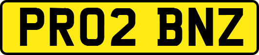 PR02BNZ