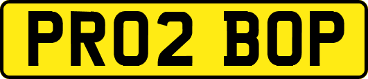 PR02BOP