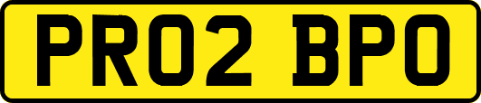 PR02BPO