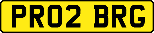 PR02BRG