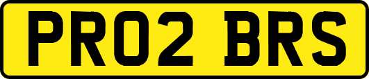 PR02BRS