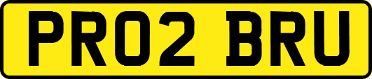 PR02BRU