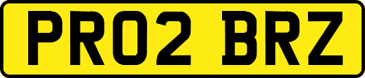 PR02BRZ