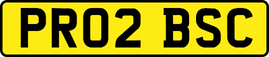 PR02BSC